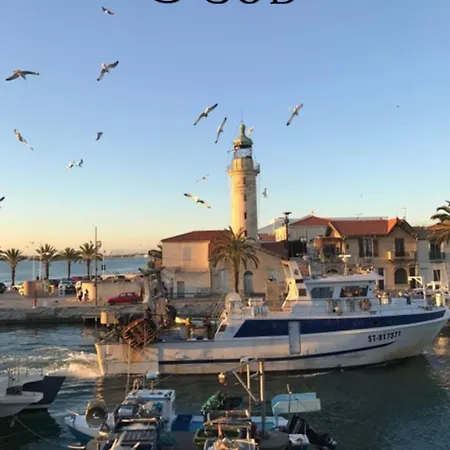 דירה La Marina De La Petite Caroline Vue Port 2 לה-גרו-דו-רואה